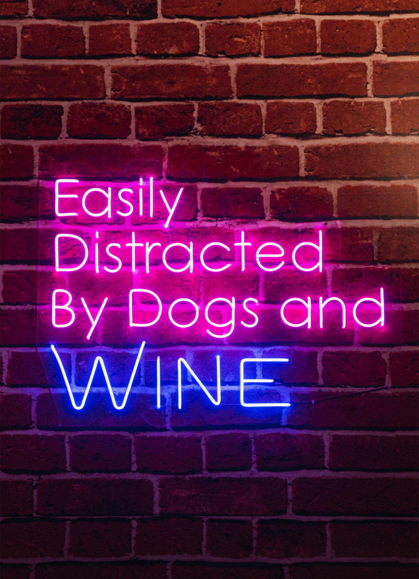 Dogs & Wine